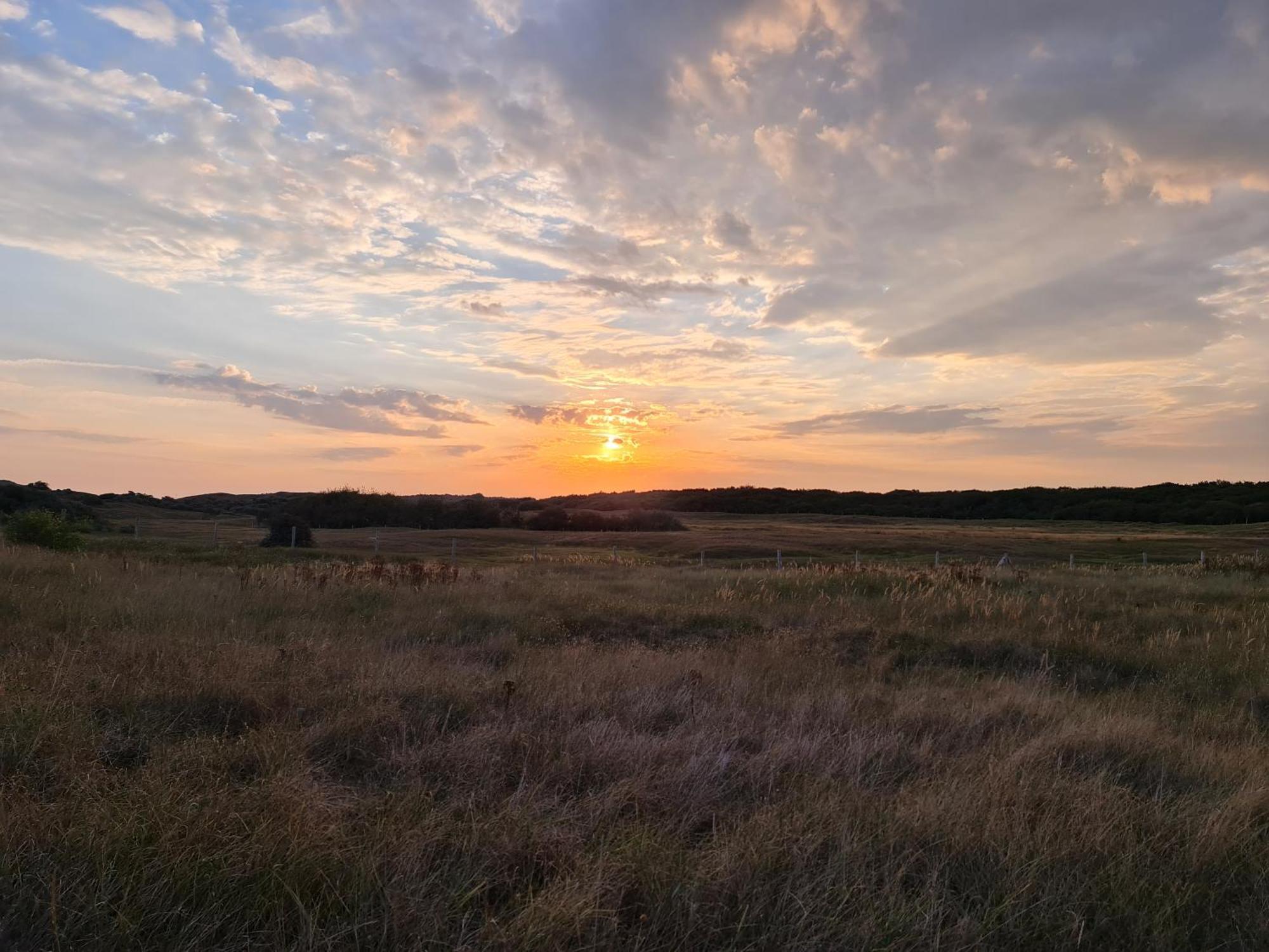 Olmenduin Chalet Olm Zeeland スロースケルケ エクステリア 写真