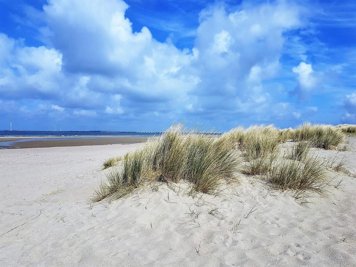 Olmenduin Chalet Olm Zeeland スロースケルケ エクステリア 写真